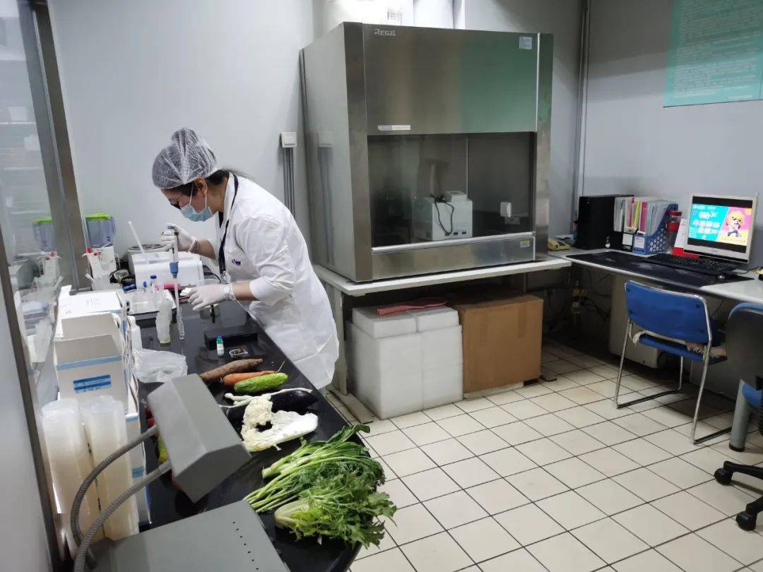 张金镇食品检测实验室装修方案